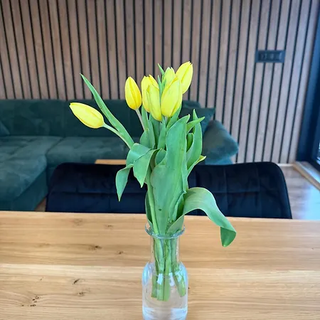 House Boat S Vyhledem Na Wake Port * Brandýs nad Labem-Stará Boleslav